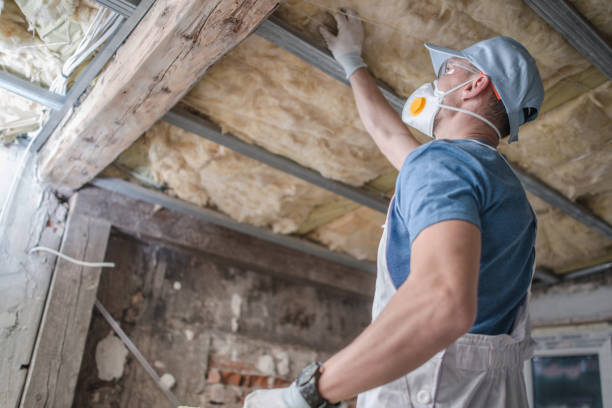 Best Insulation Removal Services  in Diand, MO